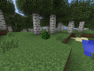 Лесное Яйцо(DM).png